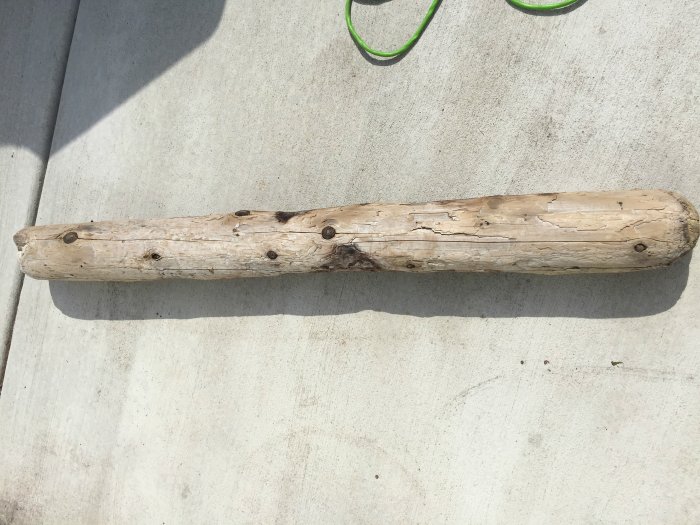 straight piece of driftwood